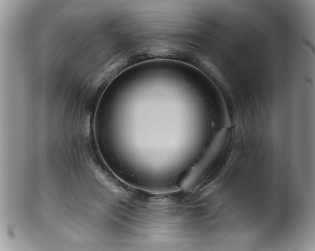 X0000099510454200805151503