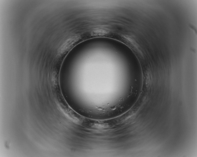 X0000099510455200805151503