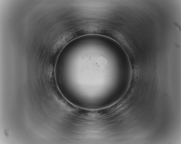 X0000099510458200805151504