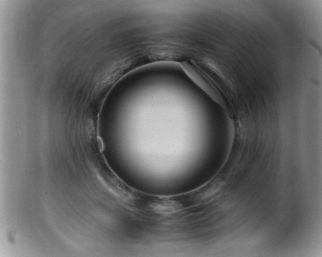 X0000099510459200805151504