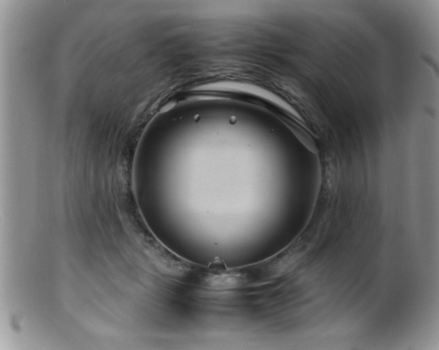 X0000099510461200805151504