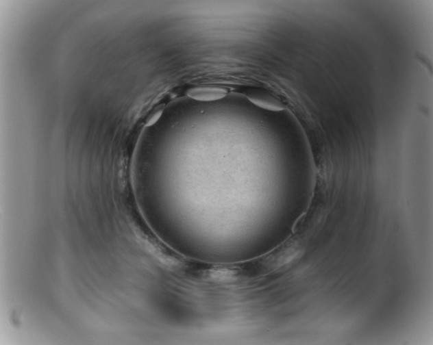 X0000099510462200805151504