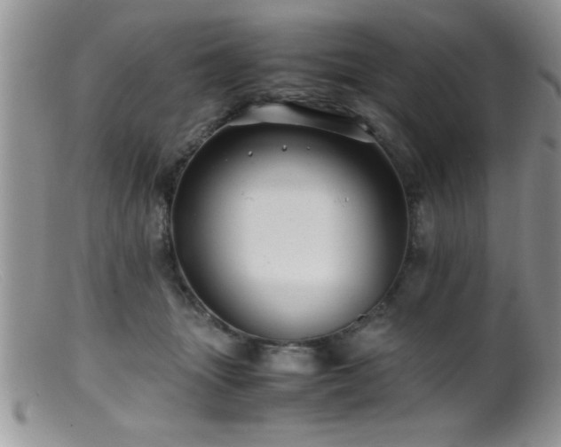 X0000099510463200805151504