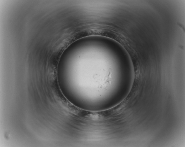 X0000099510464200805151504