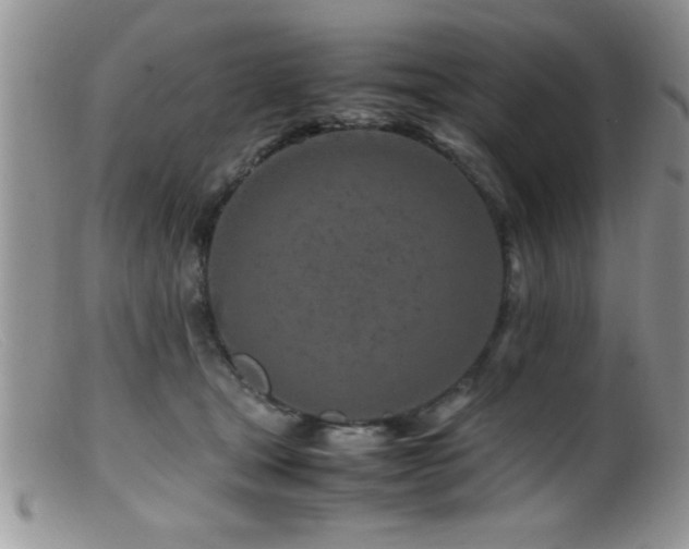 X0000099510465200805151504