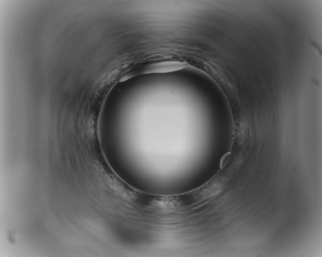 X0000099510466200805151504