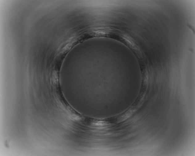 X0000099510467200805151504