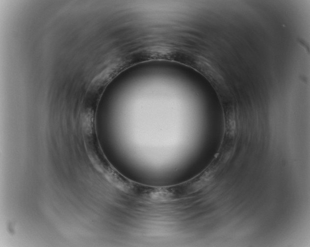 X0000099510468200805151504
