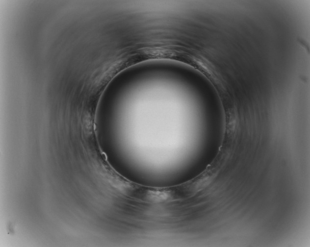 X0000099510469200805151504