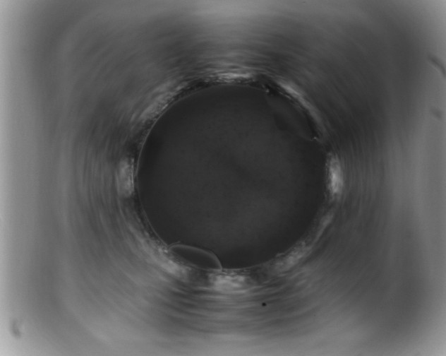 X0000099510471200805151504