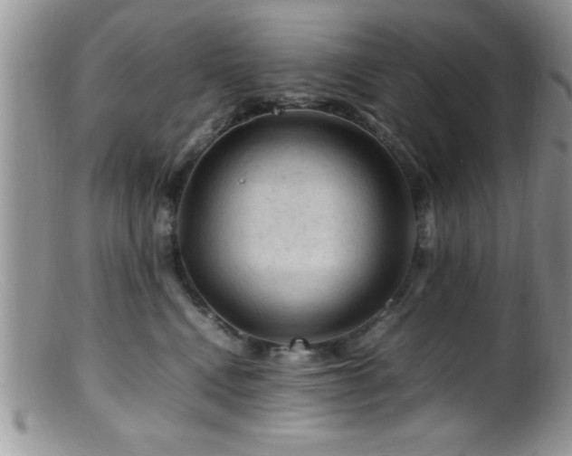 X0000099510472200805151504