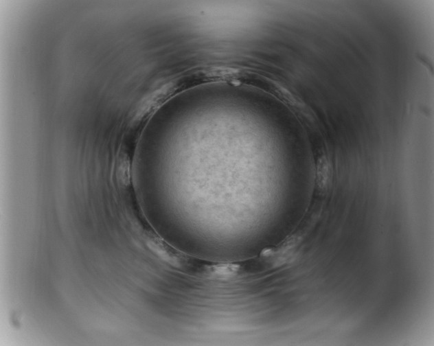 X0000099510474200805151504