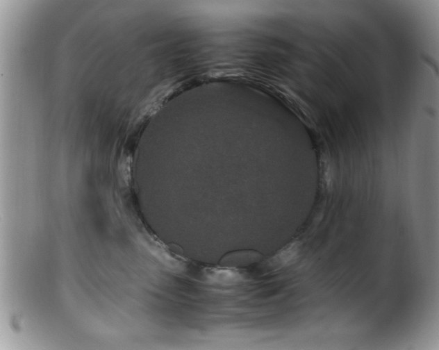 X0000099510475200805151504