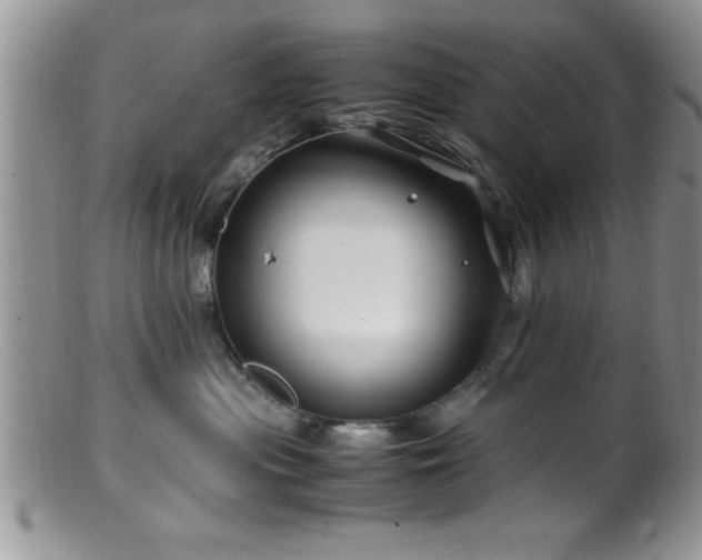 X0000099510477200805151504