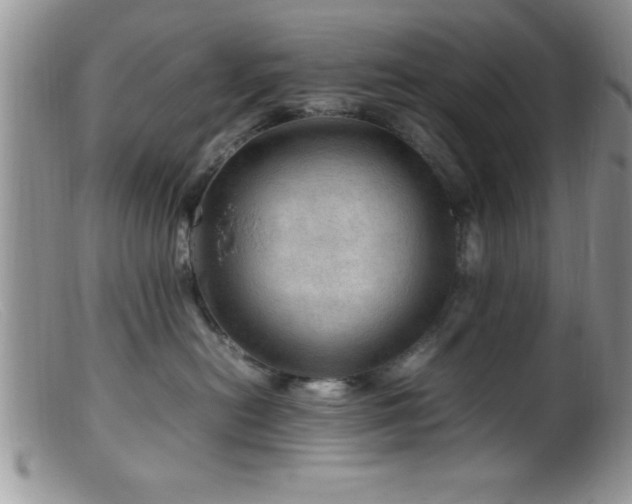 X0000099510478200805151504