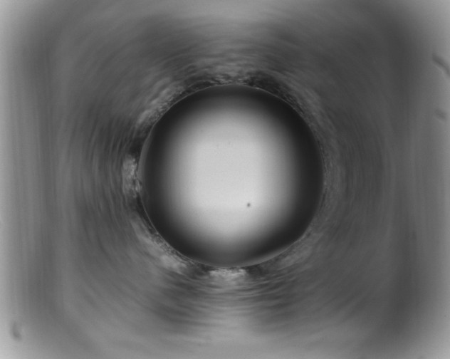 X0000099510480200805151504