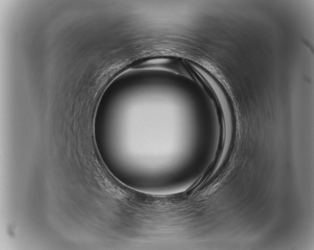 X0000099510481200805151503