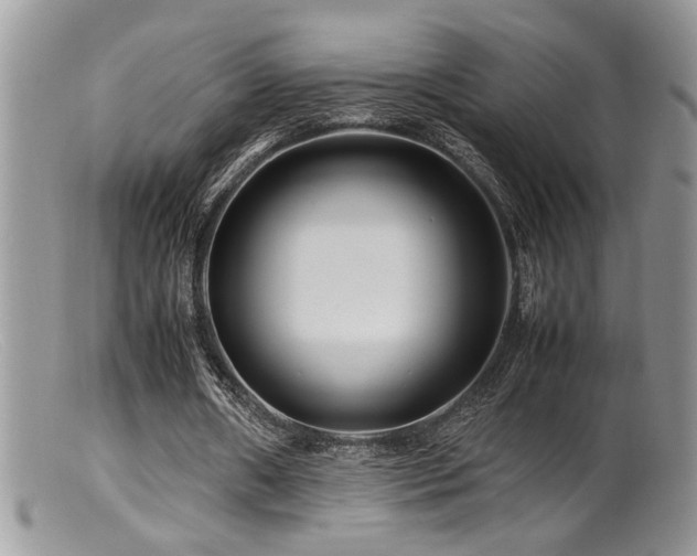 X0000099510482200805151503