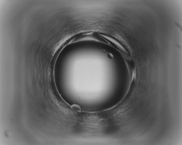 X0000099510483200805151503