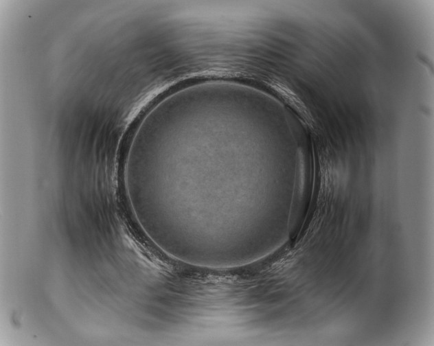 X0000099510484200805151503