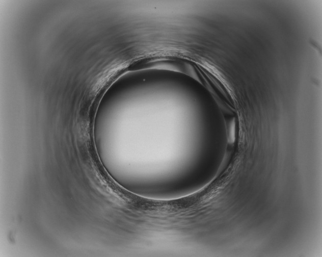 X0000099510485200805151503