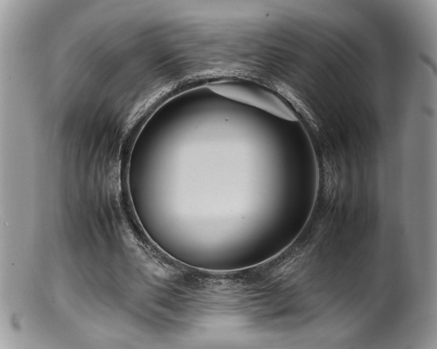 X0000099510486200805151503