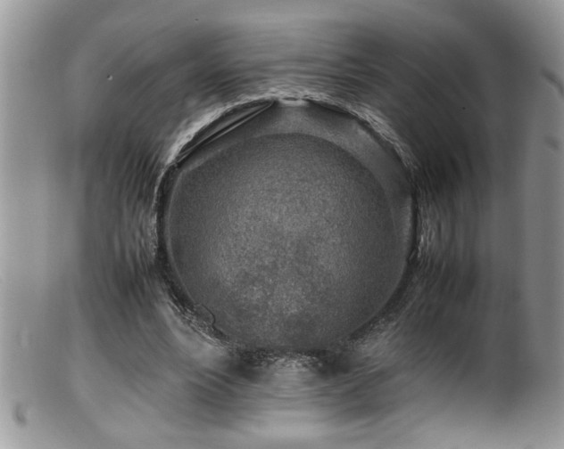 X0000099510488200805151503