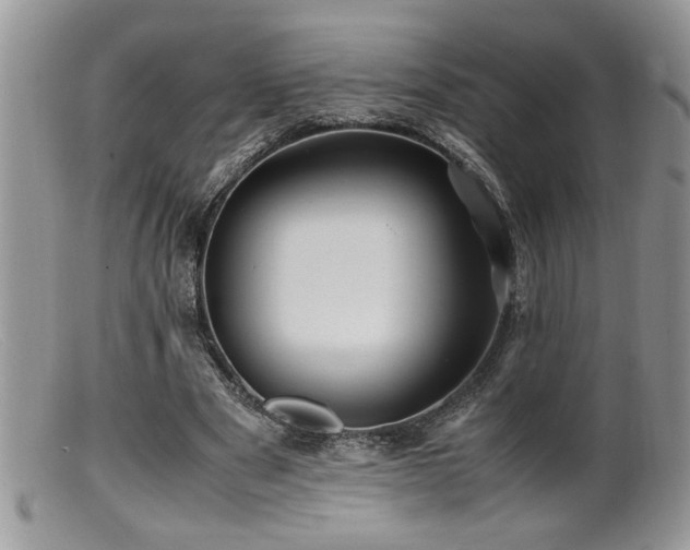 X0000099510489200805151503
