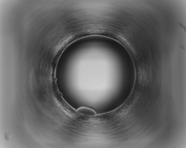 X0000099510490200805151503