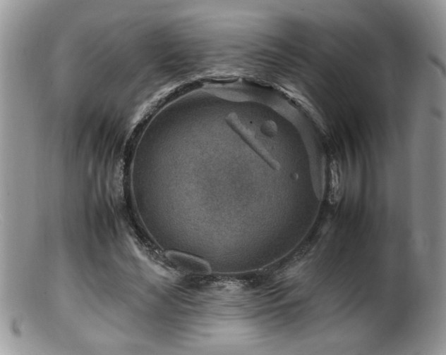 X0000099510492200805151503