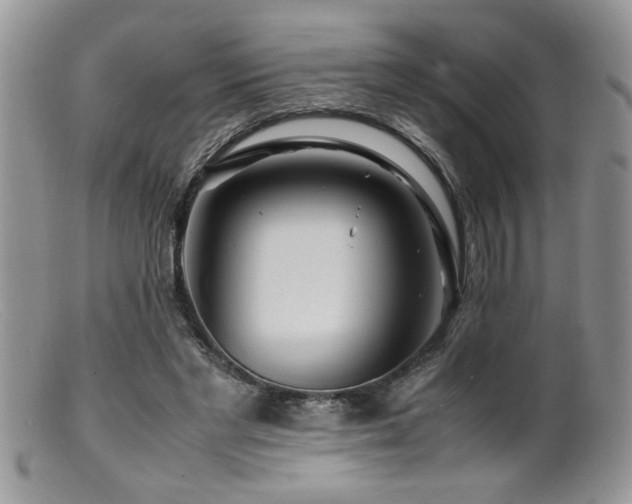 X0000099510493200805151503