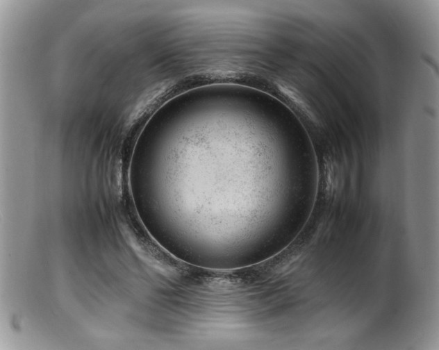 X0000099510494200805151503
