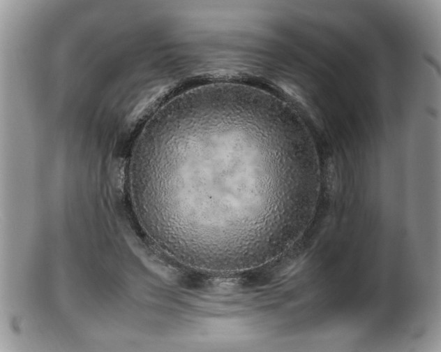 X0000099510495200805151503