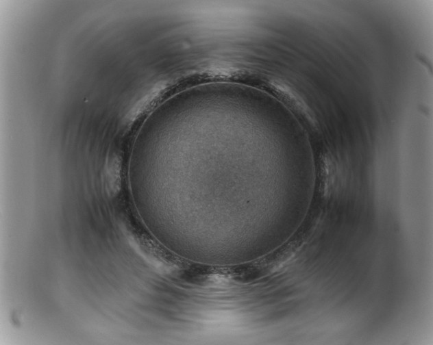X0000099510496200805151503