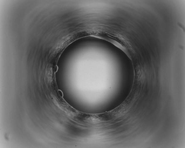 X0000099510498200805151503