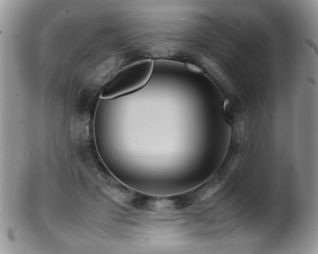 X0000099510501200805151503