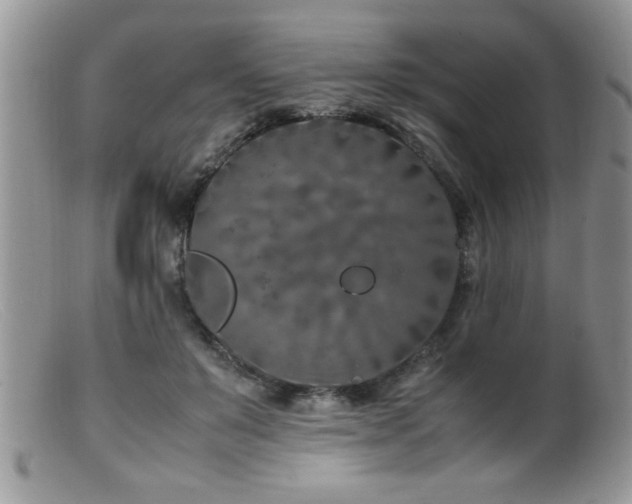 X0000099510503200805151503