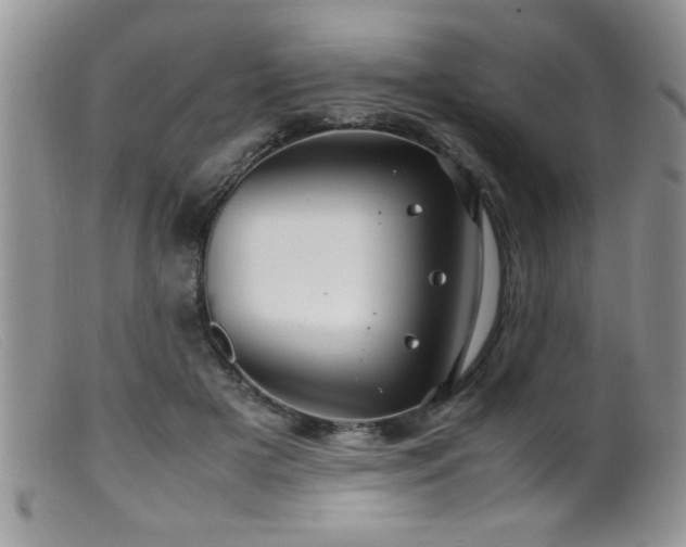 X0000099510505200805151503