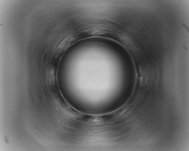 X0000099510506200805151503