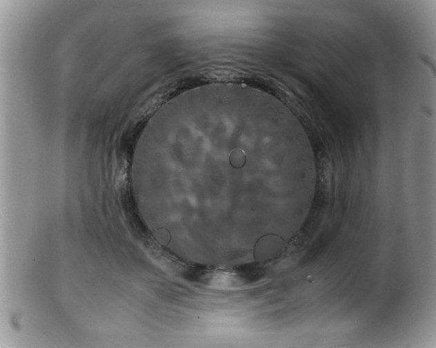X0000099510507200805151503