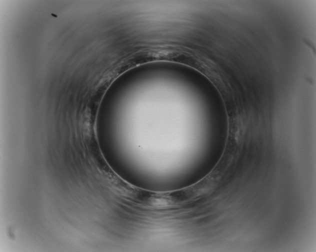 X0000099510510200805151502