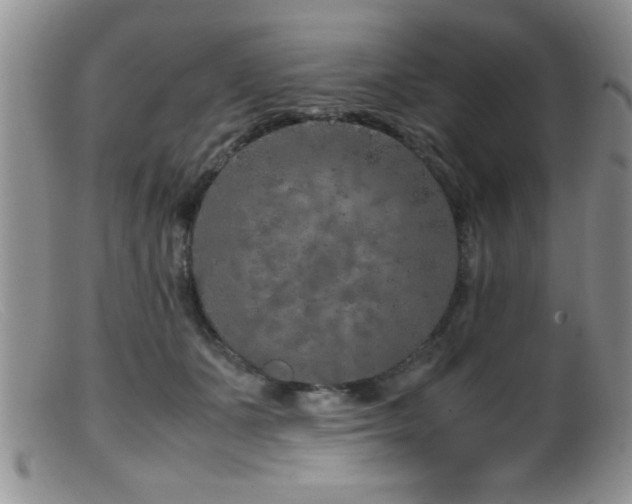 X0000099510511200805151502