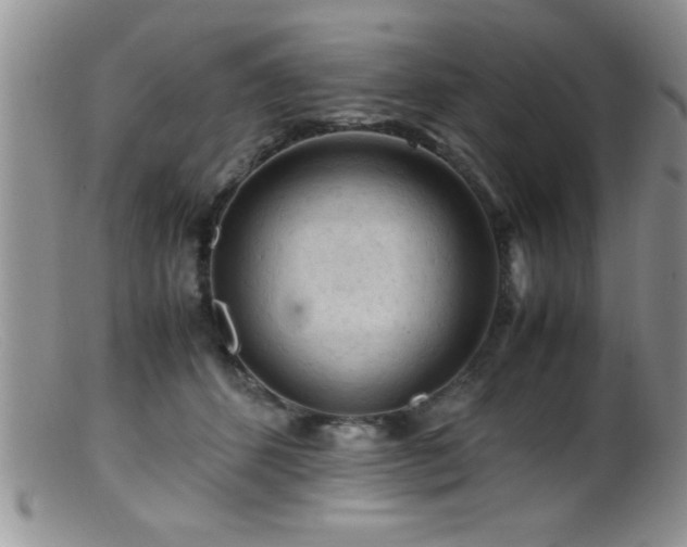 X0000099510512200805151502