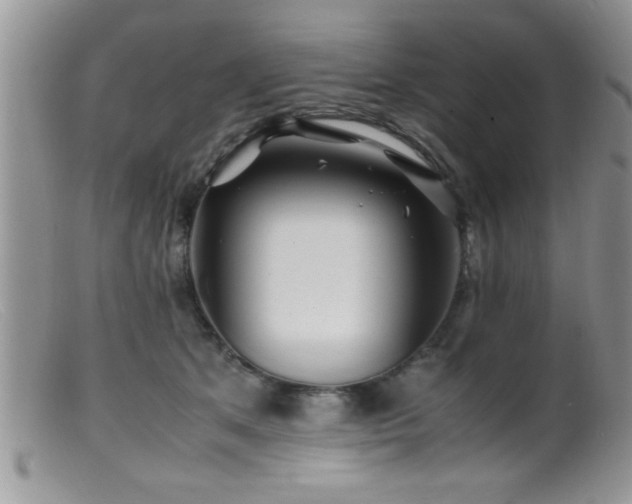 X0000099510513200805151502