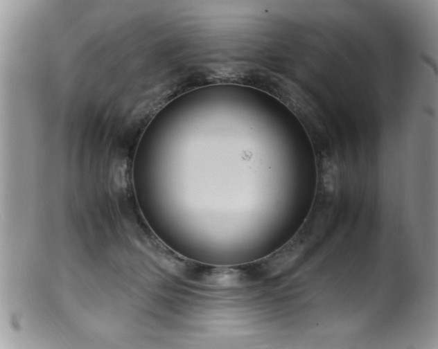 X0000099510514200805151502