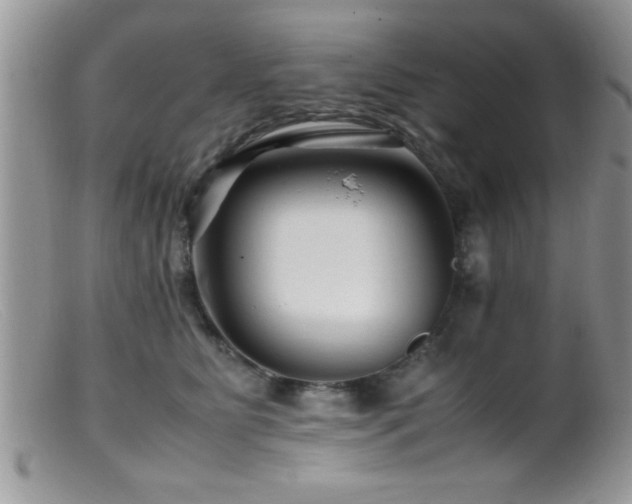 X0000099510515200805151502