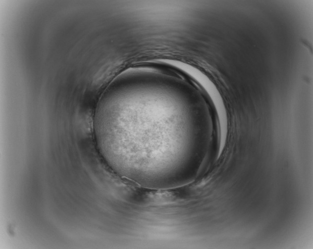 X0000099510517200805151502