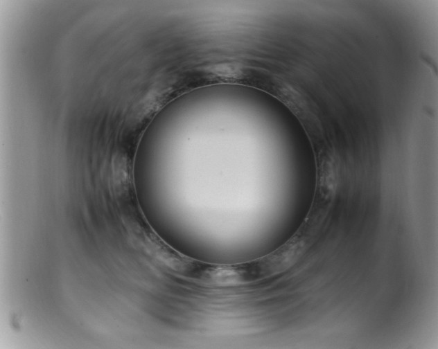 X0000099510518200805151502