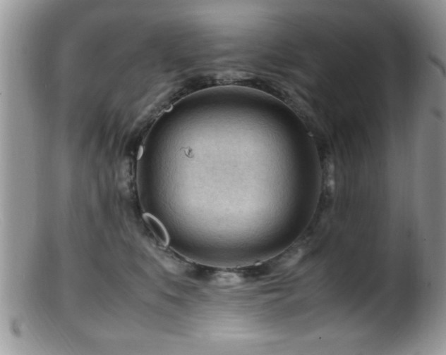 X0000099510519200805151502
