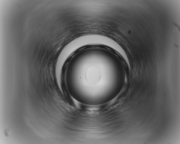 X0000099510520200805151502